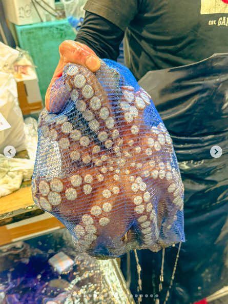 A sea market merchant holding up an octopus. | Source: Instagram/tombrady