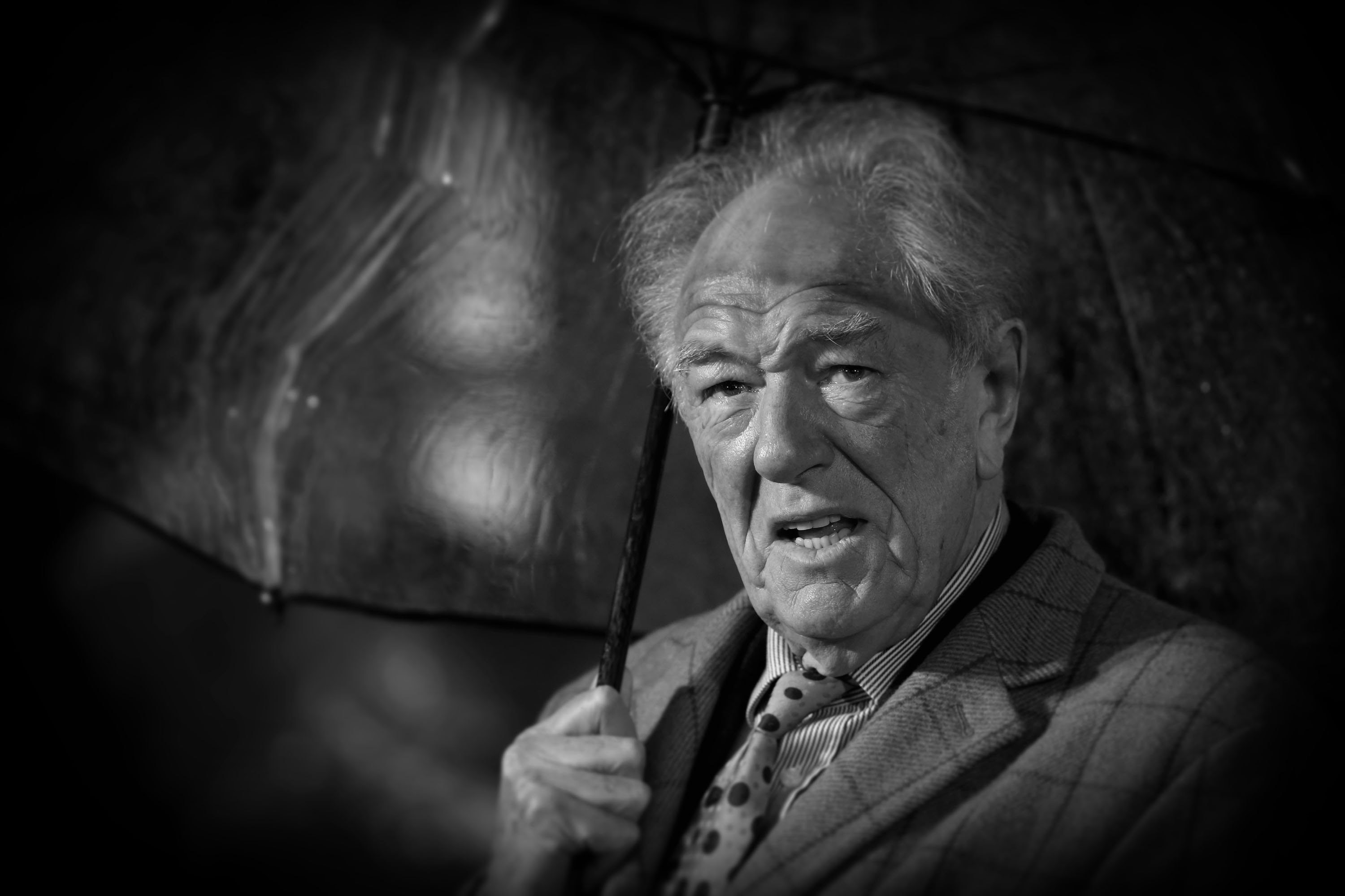 Michael Gambon attends "Dad's Army" World Premiere on January 26, 2016 in London, United Kingdom. | Source: Getty Images