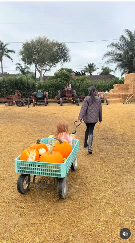 Meghan Markle strolls through a rustic pumpkin patch, pulling a wagon filled with pumpkins and her daughter, Lilibet, as seen in her post dated October 26, 2025 | Source: Instagram/meghan