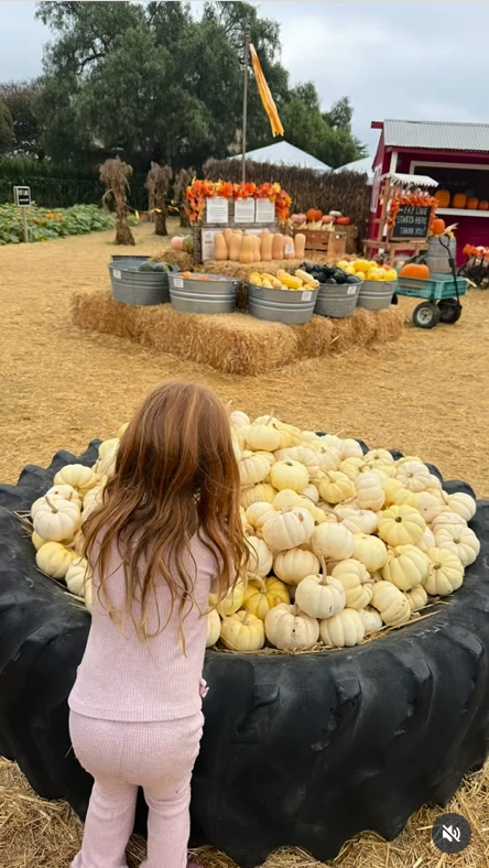 Meghan Markle and Prince Harry's daughter, Lilibet stands before a large display of pale pumpkins, as seen in the post dated October 26, 2025 | Source: Instagram/meghan